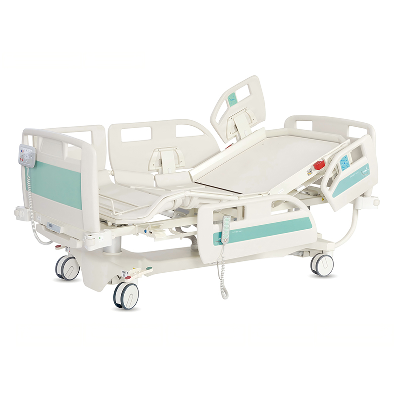 Multi-function Electric Bed WF-EB01