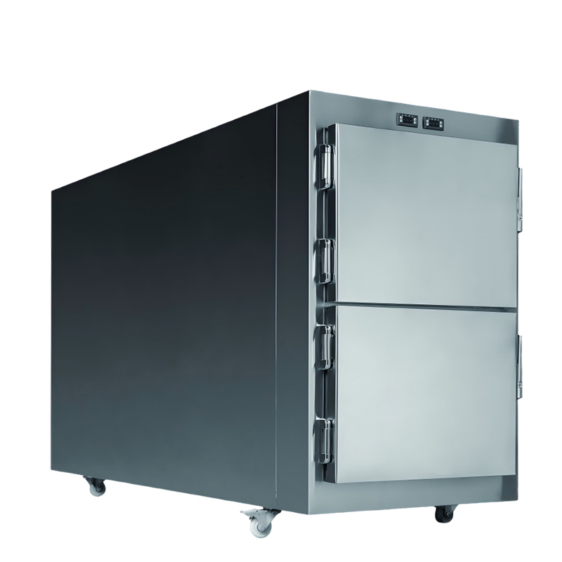 Body Cooler‌ LAB-BC02A