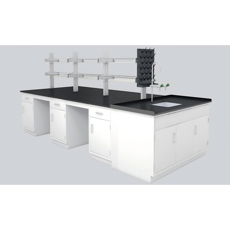 Laboratory Workbench‌ LAB-WB02