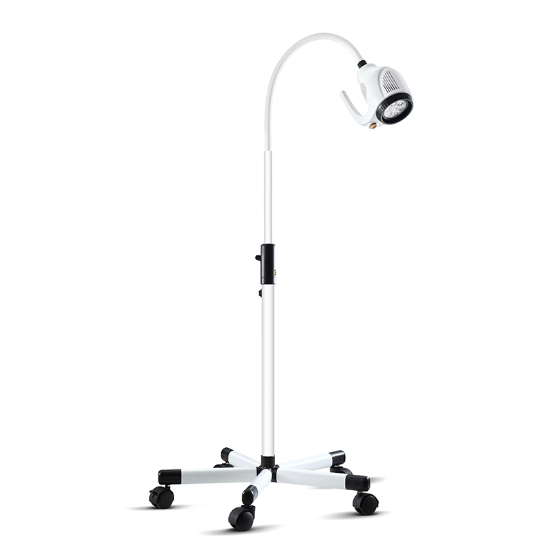 Examining Light OR-EL02