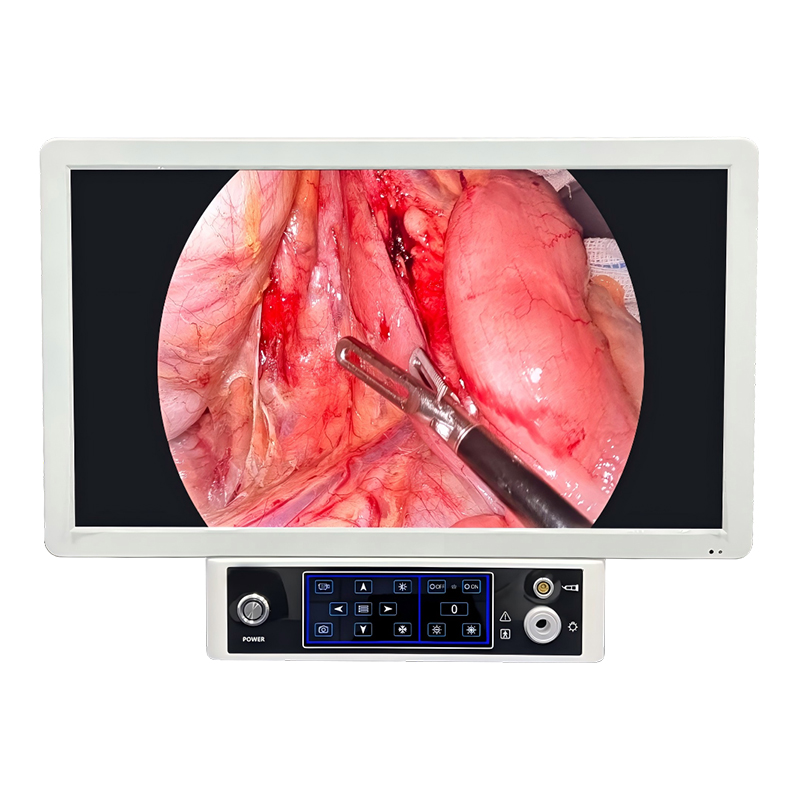 Portable Endosocpe camera system